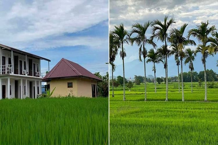 10 Penginapan dan hotel murah di Siantar, harga serta lokasi