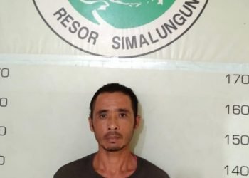 Tanam Ganja Dirumah Irul masuk sel