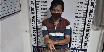 Simpan ganja seberat 2,7 Kg di kos-kosan, Parlindungan di tangkap