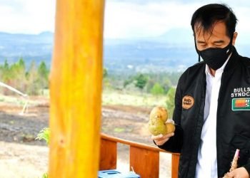 Presiden Jokowi tinjau kawasan lumbung pangan baru di SUMUT