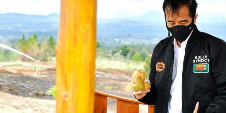 Presiden Jokowi tinjau kawasan lumbung pangan baru di SUMUT