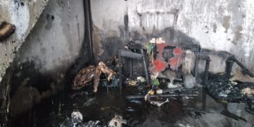 Sijago Merah Kembali Menelan Korban Di Siantar