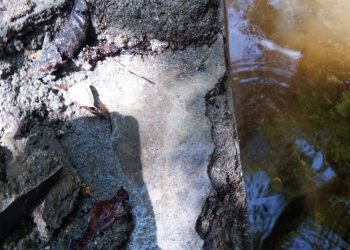 Pekerjaan Irigasi Lae Jering I Desa Pardomuan Diduga Di Mark Up