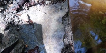 Pekerjaan Irigasi Lae Jering I Desa Pardomuan Diduga Di Mark Up