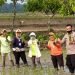Kanir Binmas Polsek Siantar Marihat Bersama Bhabinkamtibmas Bantu Petani Tanam  Padi