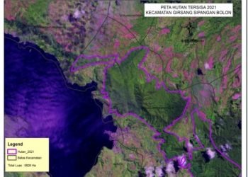 Investigasi 3 NGO Simpulkan Penyebab Banjir Parapat Akibat Perambahan Hutan