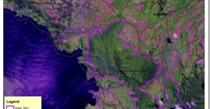 Investigasi 3 NGO Simpulkan Penyebab Banjir Parapat Akibat Perambahan Hutan