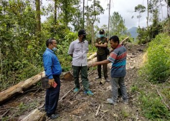 Diduga Hutan Rusak Penyebab Banjir Parapat, KPH II Tinjau Lokasi Perambahan