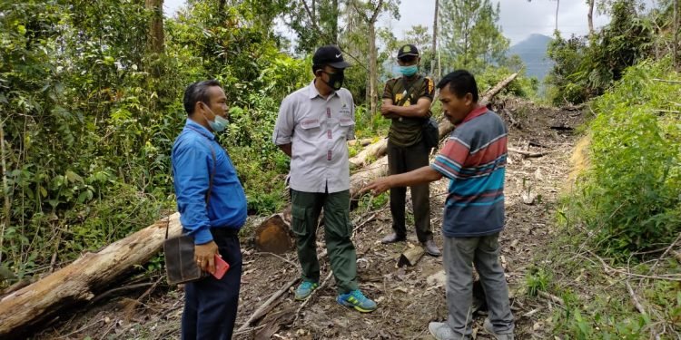 Diduga Hutan Rusak Penyebab Banjir Parapat, KPH II Tinjau Lokasi Perambahan