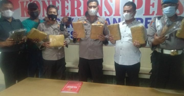 Polsek Medan Area Berhasil Meringkus Bandar Ganja