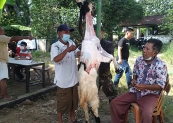 DPC BMI Simalungun Berbagi Hewan Kurban