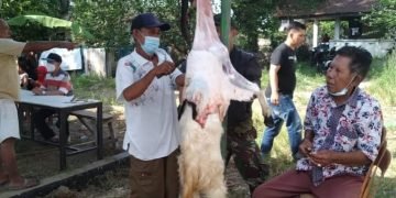 DPC BMI Simalungun Berbagi Hewan Kurban