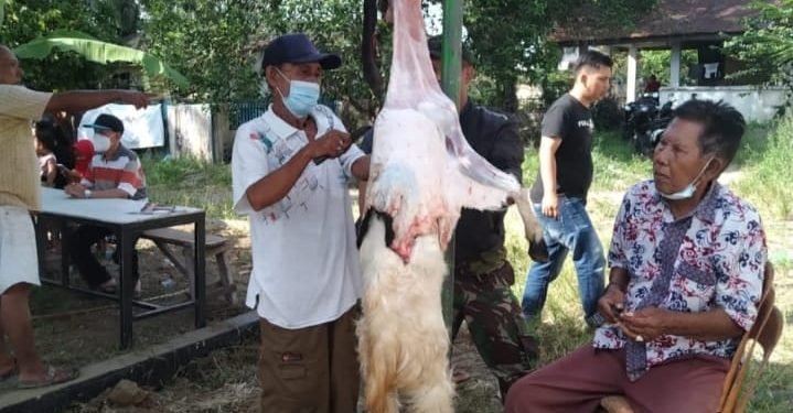 DPC BMI Simalungun Berbagi Hewan Kurban