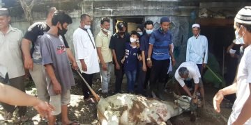 Jamaah Masjid Nurul Iman Sembelih 10 Ekor Sapi dan 2 Ekor Kambing