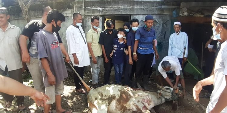 Jamaah Masjid Nurul Iman Sembelih 10 Ekor Sapi dan 2 Ekor Kambing
