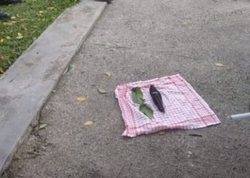 Boneka Jenglot, “Makhluk Pemakan Darah Untuk Pesugihan” Ditemukan di Kantor Bupati Simalungun