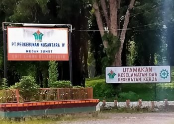 SPBUN Unit Kebun Balimbingan Bungkam Mengenai Kerja Panen Libur 1 Muharam
