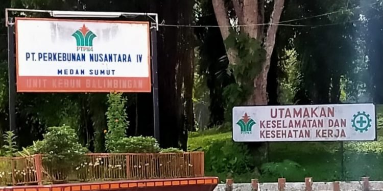 SPBUN Unit Kebun Balimbingan Bungkam Mengenai Kerja Panen Libur 1 Muharam