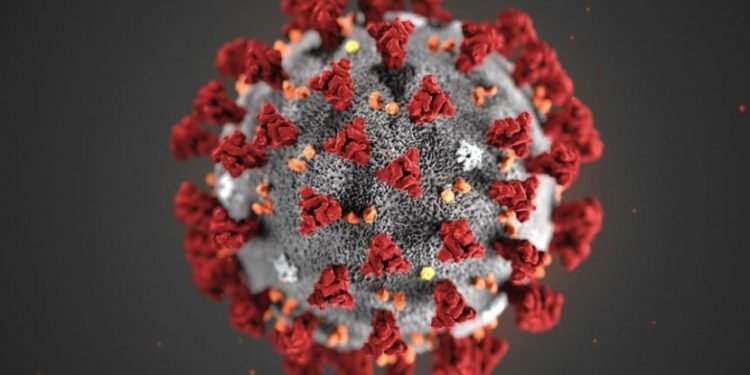 Ahli Imunologi Ingatkan Potensi Kemunculan Covid-22