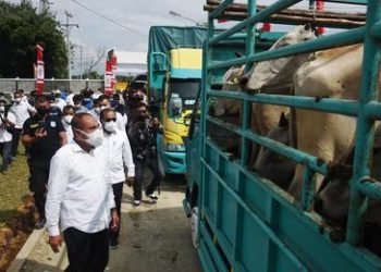 Gubsu Edy Rahmayadi Serahkan Bantuan kepada 18 Kelompok Tani