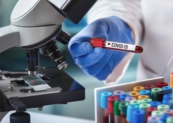 Kebal Covid-19, Berapa Banyak Jumlah Antibodi Dibutuhkan?