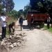 Kebun PTPN 4 Unit Bah Birong Ulu Respon Positif Program Marharoan Bolon Pemkab Simalungun