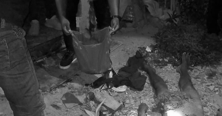 Terjadi di Samosir, Kepala Bapak Putus Ditebas Anak Kandung, Hatinya Juga Dikeluarkan dari Dalam Perut