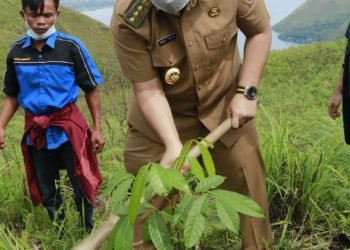 Bupati Samosir Hadiri Kegiatan Penanaman 1000 Pohon di Tamba Dolok