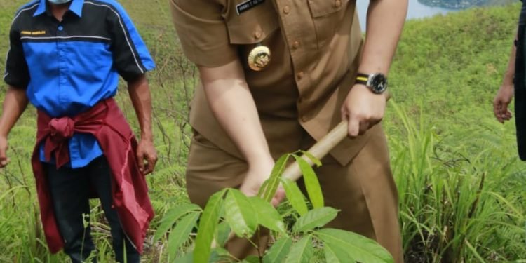 Bupati Samosir Hadiri Kegiatan Penanaman 1000 Pohon di Tamba Dolok