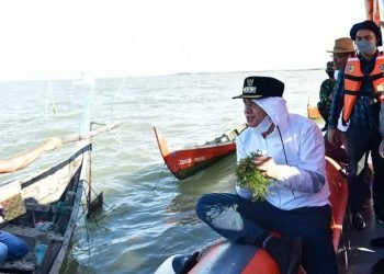 Zahir Akan Kembangkan Budidaya Rumput Laut di Kabupaten Batubara
