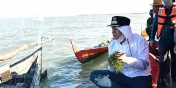 Zahir Akan Kembangkan Budidaya Rumput Laut di Kabupaten Batubara