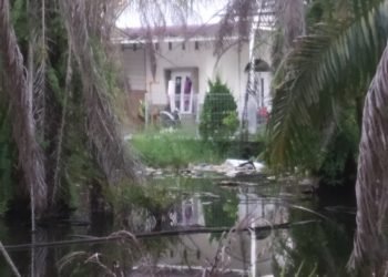 Pembangunan Perumahan Duta Mas Diduga Rugikan Warga, Sawit Tak Bisa Dipanen