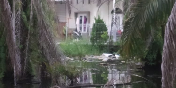 Pembangunan Perumahan Duta Mas Diduga Rugikan Warga, Sawit Tak Bisa Dipanen