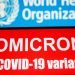 Satgas Covid-19: Varian omicron bisa picu lonjakan kasus baru