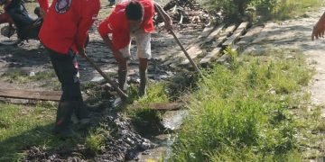 PAC Pemuda Batak Bersatu (PBB) Sinehi Melakukan Aksi Gotong Royong Di Desa Sopobutar