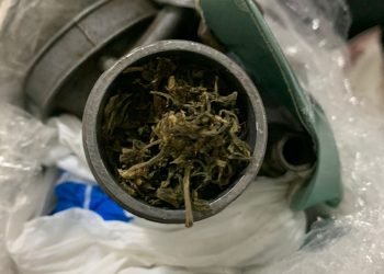 Bea Cukai Batam Berhasil Gagalkan Pengiriman Paket Ganja dalam Karburator dari Batam ke Jakarta