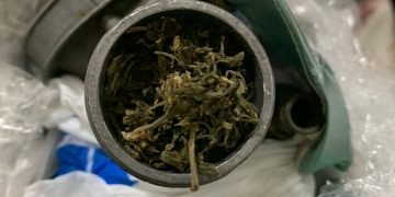 Bea Cukai Batam Berhasil Gagalkan Pengiriman Paket Ganja dalam Karburator dari Batam ke Jakarta