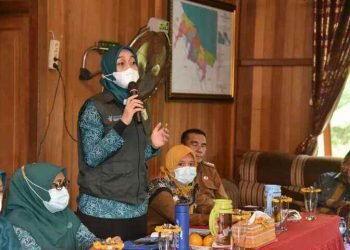 Cegah Kanker Serviks, TP-PKK Batu Bara Sosialisasikan Program Iva Test