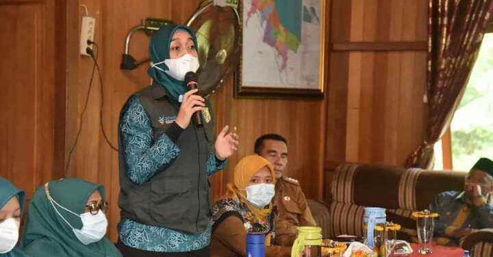 Cegah Kanker Serviks, TP-PKK Batu Bara Sosialisasikan Program Iva Test