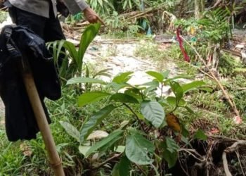Sepotong Kaki Manusia Ditemukan Mengapung Disungai Bahbolon