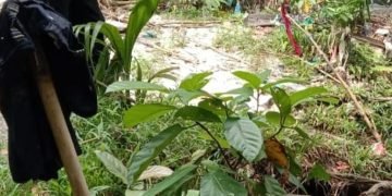 Sepotong Kaki Manusia Ditemukan Mengapung Disungai Bahbolon