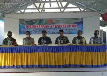 Dinas Perikanan dan Peternakan Batu Bara Gelar Vaksinasi PMK di Laut Tador