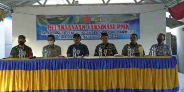 Dinas Perikanan dan Peternakan Batu Bara Gelar Vaksinasi PMK di Laut Tador