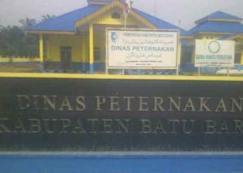 Aktivis Ampera: Ada Dugaan Korupsi Dana PEN-D di Dinas Perkebunan dan Peternakan Batu Bara