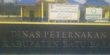 Aktivis Ampera: Ada Dugaan Korupsi Dana PEN-D di Dinas Perkebunan dan Peternakan Batu Bara