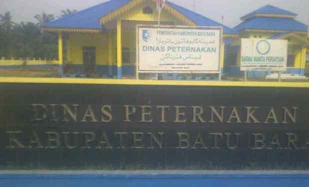 Aktivis Ampera: Ada Dugaan Korupsi Dana PEN-D di Dinas Perkebunan dan Peternakan Batu Bara