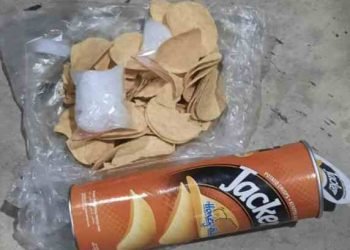 Luigi, Anjing Pelacak Bea Cukai Batam Berhasil Endus Paket Berisi Sabu-Sabu