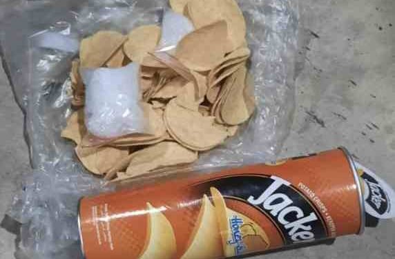 Luigi, Anjing Pelacak Bea Cukai Batam Berhasil Endus Paket Berisi Sabu-Sabu