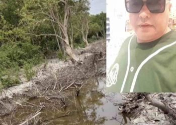 Irwansyah Nasution: Cegah Dini Karhutla di Batu Bara dan Peta Kesadaran Masyarakat