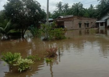 Ratusan Rumah Terendam Banjir, Seorang Bocah Jadi Korban